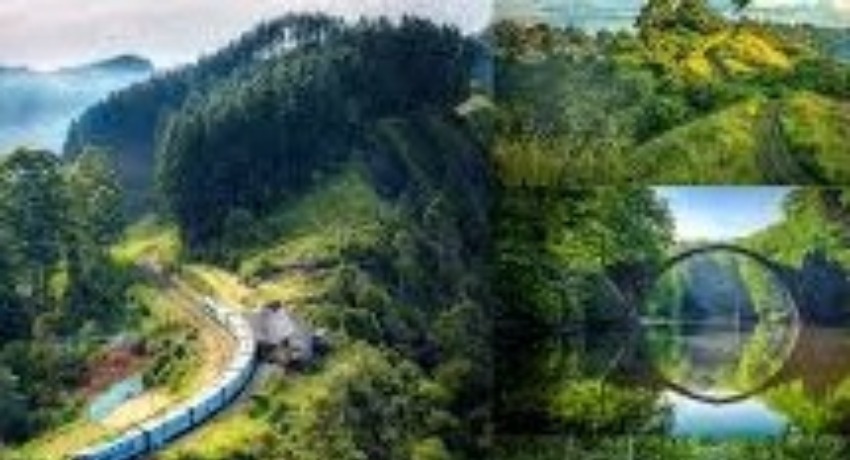 线下活动预告 - 大象传媒入口 - 品牌开放日与行业展会预告中心